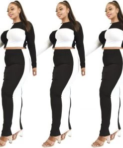 Social Butterfly Collection Color Block Plus Size Two Piece Skirt Set