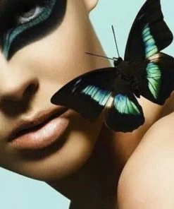 Social Butterfly Collection New Arrivals Natural Turquoise Stone Ring