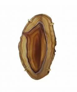 Social Butterfly Collection New Arrivals Agate Stone Gold Adjustable Ring