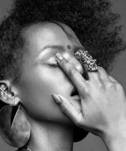 Social Butterfly Collection Concave Luna Brass Hoop Earrings New Arrivals